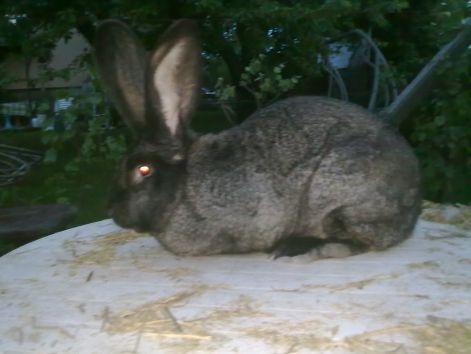 20110512285.jpg