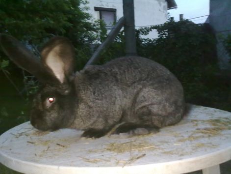 20110512287.jpg