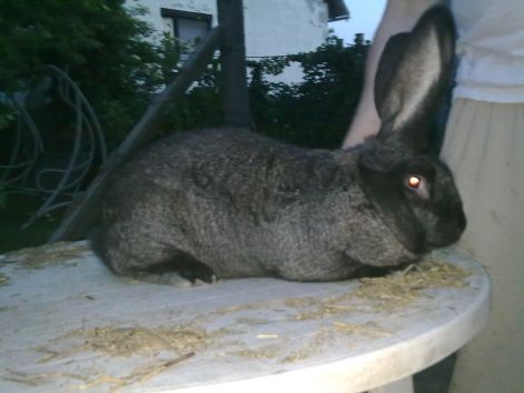 20110512291.jpg