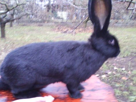 img_20111127_150746.jpg
